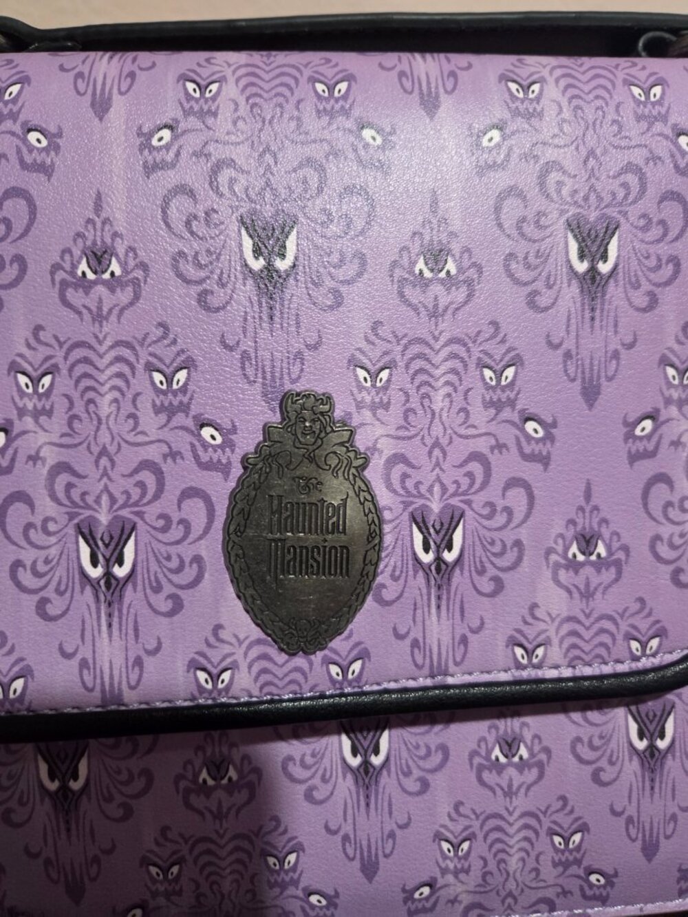 Disney's Haunted Mansion Lounge fly - Picture 2 of 12